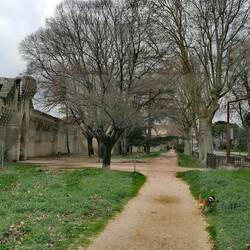 Hunderunde außerhalb der Stadtmauern