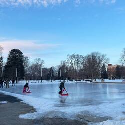 Eisflächen im Viktoriapark