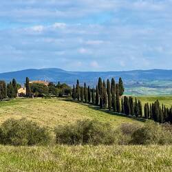 Zypressenallee Gladiator aus weiter Ferne