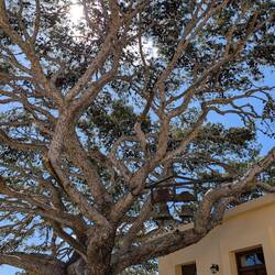 Wem die Stunde schlägt.