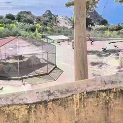 Auch Mönche brauchen etwas zu Essen.