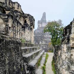 Die Anlage wurde 1848 entdeckt, Eröffnung 1955, 1979 UNESCO Weltkulturerbe