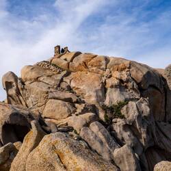 Da hinauf wollen wir...