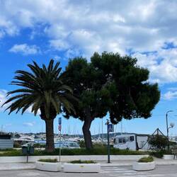 ..aber so wie jetzt im Winter passt das ganz gut für eine schöne Abwechslung 👍🏻☺️