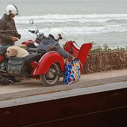 Für jeden ist gesorgt