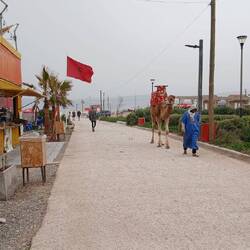 Ob der sich verirrt hat 🤔