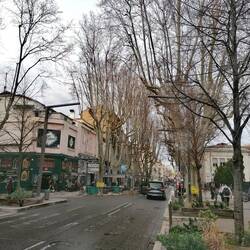 Der Kudamm von Avignon