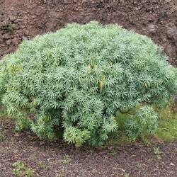 Die Vegetation natürlich Klasse!