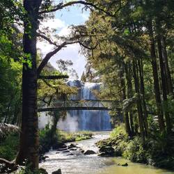 Whangarei Wasserfall