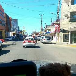 Gewusel durch die Städte und Dörfer