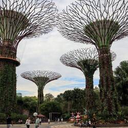 Sogenannte "Supertrees", deren Sinn sich uns aber nicht erschlossen hat - sehen aber toll aus!