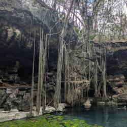 Cenote 2