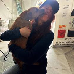 Waschservice für Zisi