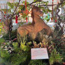 The Year of the Horse