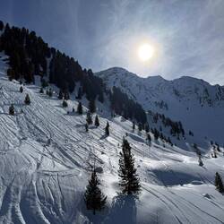 Ella hat gestern auch noch ein paar feine Bilder gemacht, die ich hier nachliefere.