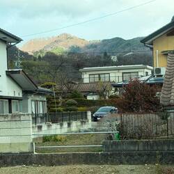 Just a pretty scene, love the trimmed trees in the yard.