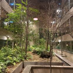 Our hotels inner courtyard!