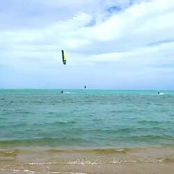 Die machen es schon richtig gut