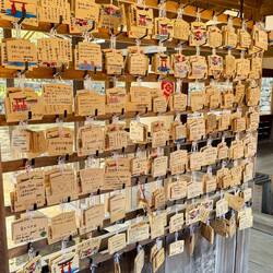 Wunschkarten beim Itsukushima Shrine
