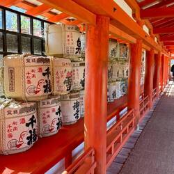 und immer wieder die Sake-Fässer