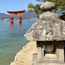 Torii beim Itsukushima Shrine