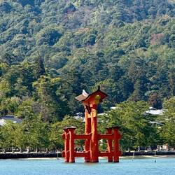 Torii