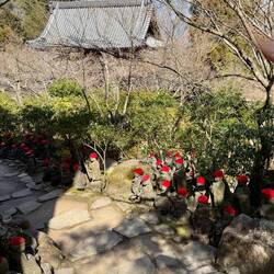 500 kleine Statuen mit Wollmützchen