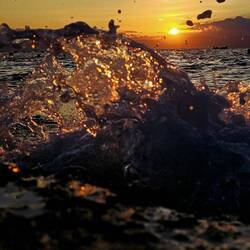 So lässt es sich leben.