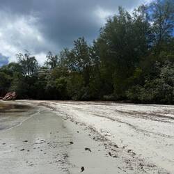 Här är det ingen som räfsar!