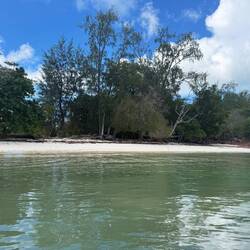 Ännu en folktom strand