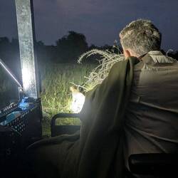 Who wasn't too happy that we had outed him mid-stalk. Sorry leopard.