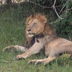 These guys are worth the excitement