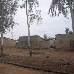 The style of houses changed