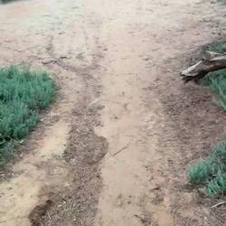 Wat is das für ein Vogel?