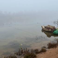 Der morgendliche Nebel 🤣