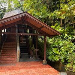 Rollreppen im grünen Park