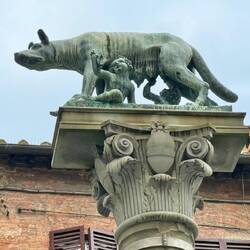 Die säugende Wölfin ist immer wieder präsent.