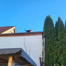 Leni hat ein kleines Problem.