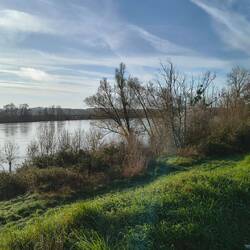 Die Loire führt nach dem starken Regenfällen der letzten Wochen Hochwasser