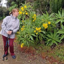 Immer wieder musste ich daran riechen. Wonach rochen die nur?