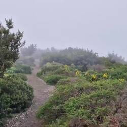 Passatwinde, die mit ihrem feinen Sprühnebel hier waagerecht durchziehen.