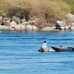 Oder Fische fangen im Nil