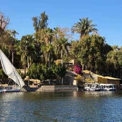 Botanischer Garten (Kitchener Island)