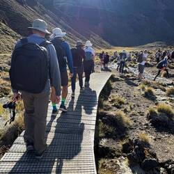 The conga line on a well maintained and well traveled trail