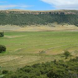 im Hochland wird viel Getrede angebaut