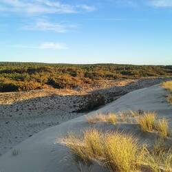 Blick von der Düne ins Land. Da ist fast nix...👍