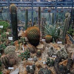 If you're brave enough...