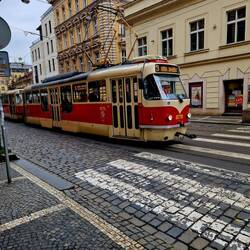 Dsch es Amok Tram: Schüttlet wine more und dChauffeure kenne garnüt xD