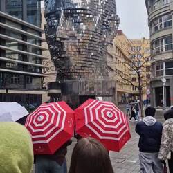 Roierend Franz Kafka Chopf