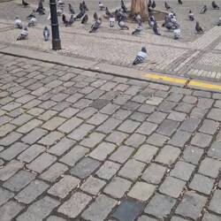 Eig. wär dr Plan gsi ds aui drvoflüge und ig mi wie eh Disneyprincess cha füehle, ABER IZE HAUT